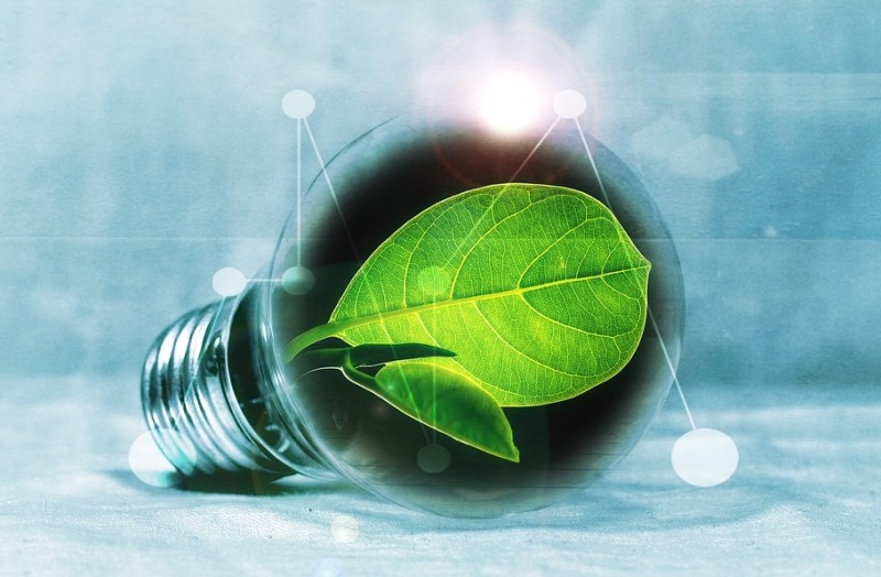 Mercedes-Benz beVisioneers Fellowship Equips 100 Young Innovators for Environmental Stewardship